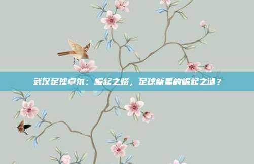 武汉足球卓尔：崛起之路，足球新星的崛起之谜？