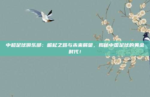 中超足球俱乐部：崛起之路与未来展望，揭秘中国足球的黄金时代！