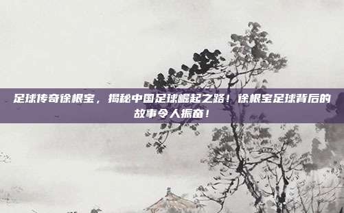 足球传奇徐根宝，揭秘中国足球崛起之路！徐根宝足球背后的故事令人振奋！