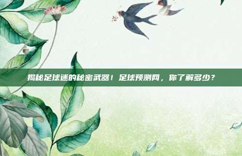 揭秘足球迷的秘密武器！足球预测网，你了解多少？