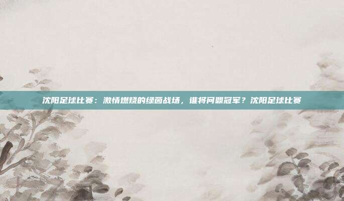 沈阳足球比赛：激情燃烧的绿茵战场，谁将问鼎冠军？沈阳足球比赛