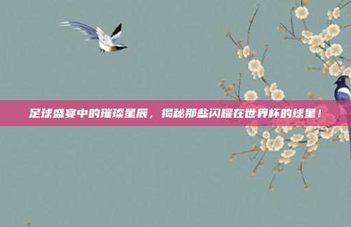 足球盛宴中的璀璨星辰，揭秘那些闪耀在世界杯的球星！