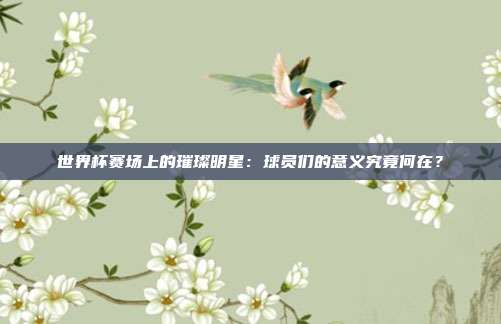 世界杯赛场上的璀璨明星：球员们的意义究竟何在？