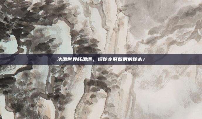 法国世界杯国语，揭秘夺冠背后的秘密！