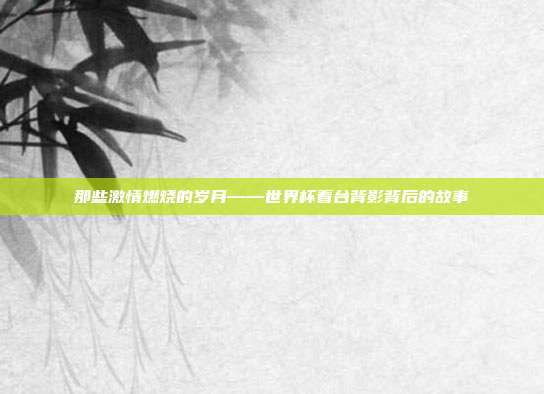 那些激情燃烧的岁月——世界杯看台背影背后的故事