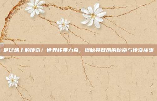 足球场上的传奇！世界杯暴力鸟，揭秘其背后的秘密与传奇故事