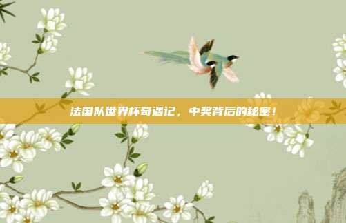 法国队世界杯奇遇记，中奖背后的秘密！