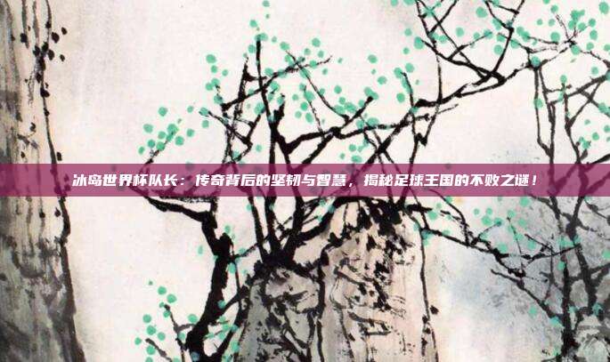 冰岛世界杯队长：传奇背后的坚韧与智慧，揭秘足球王国的不败之谜！
