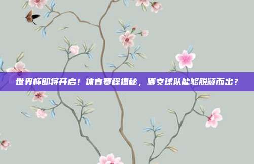 世界杯即将开启！体育赛程揭秘，哪支球队能够脱颖而出？