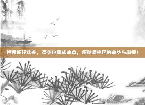 世界杯狂欢夜，豪华包厢成焦点，揭秘贵宾区的奢华与激情！