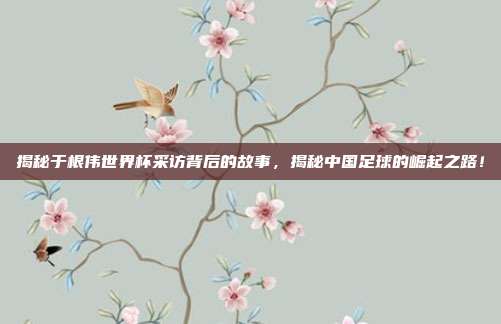 揭秘于根伟世界杯采访背后的故事，揭秘中国足球的崛起之路！