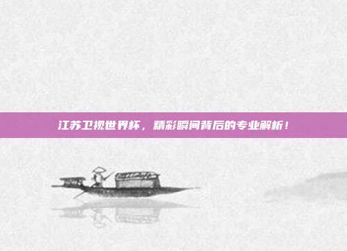 江苏卫视世界杯，精彩瞬间背后的专业解析！