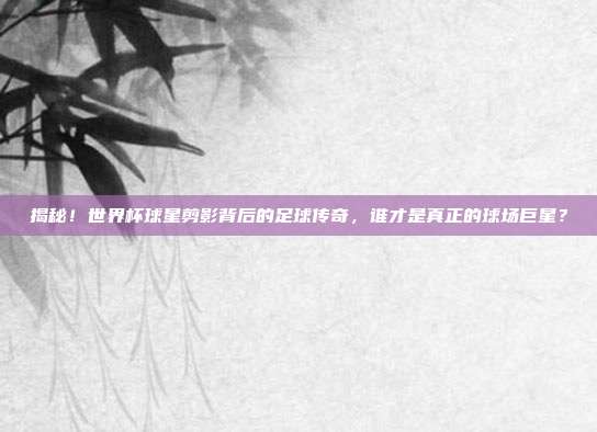 揭秘！世界杯球星剪影背后的足球传奇，谁才是真正的球场巨星？