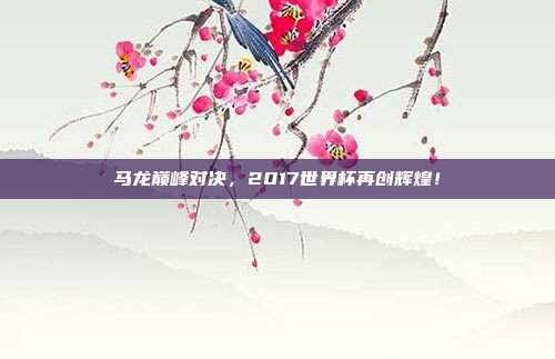 马龙巅峰对决，2017世界杯再创辉煌！