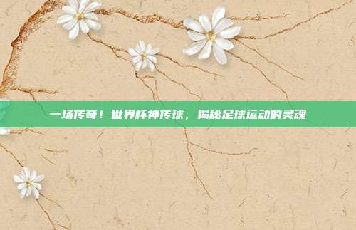 一场传奇！世界杯神传球，揭秘足球运动的灵魂