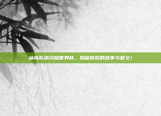 冰岛队旗闪耀世界杯，揭秘背后的故事与意义！