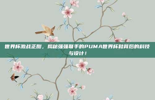 世界杯激战正酣，揭秘强强联手的PUMA世界杯鞋背后的科技与设计！