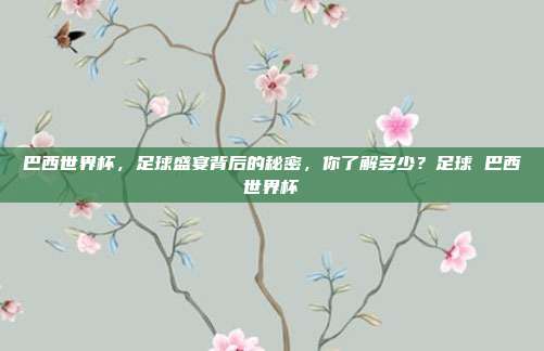 巴西世界杯，足球盛宴背后的秘密，你了解多少？足球 巴西世界杯