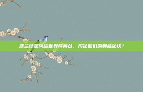 波兰球星闪耀世界杯舞台，揭秘他们的制胜秘诀！