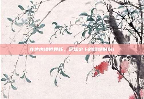 齐达内输世界杯，足球史上的遗憾时刻！
