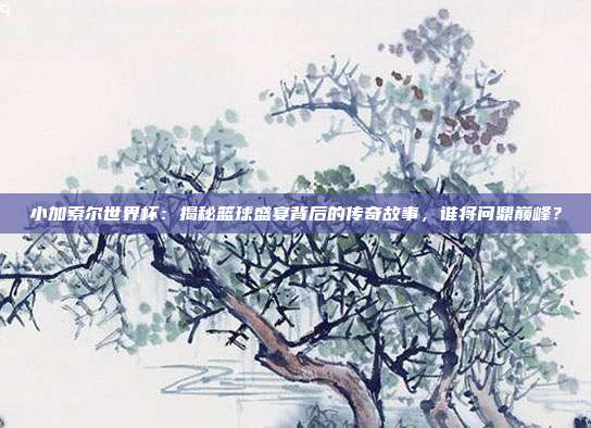 小加索尔世界杯：揭秘篮球盛宴背后的传奇故事，谁将问鼎巅峰？