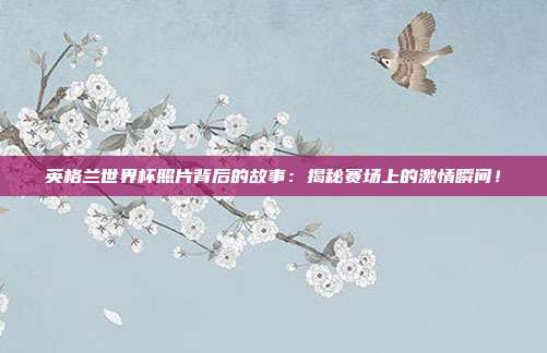 英格兰世界杯照片背后的故事：揭秘赛场上的激情瞬间！