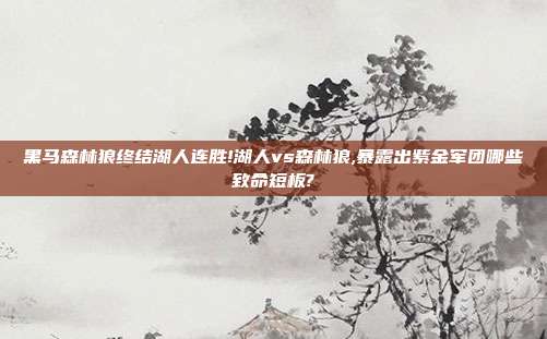 黑马森林狼终结湖人连胜!湖人vs森林狼,暴露出紫金军团哪些致命短板?