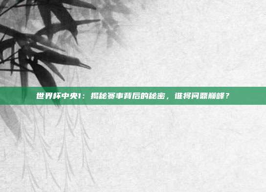 世界杯中央1：揭秘赛事背后的秘密，谁将问鼎巅峰？