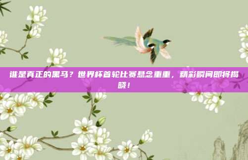 谁是真正的黑马？世界杯首轮比赛悬念重重，精彩瞬间即将揭晓！