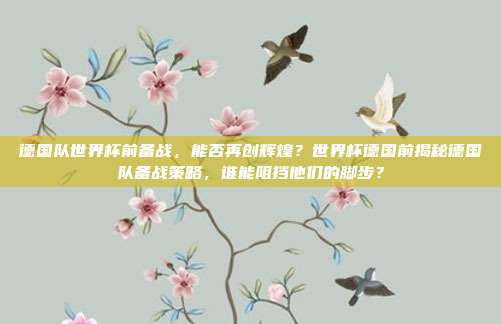 德国队世界杯前备战，能否再创辉煌？世界杯德国前揭秘德国队备战策略，谁能阻挡他们的脚步？