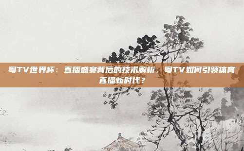 粤TV世界杯：直播盛宴背后的技术解析，粤TV如何引领体育直播新时代？