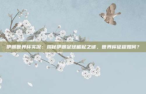 伊朗世界杯实况：揭秘伊朗足球崛起之谜，世界杯征程如何？