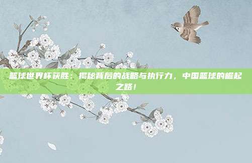 篮球世界杯获胜：揭秘背后的战略与执行力，中国篮球的崛起之路！