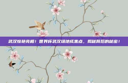 武汉惊艳亮相！世界杯武汉场地成焦点，揭秘背后的秘密！