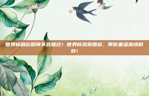 世界杯精彩瞬间不容错过！世界杯视屏回放，带你重温激情时刻！