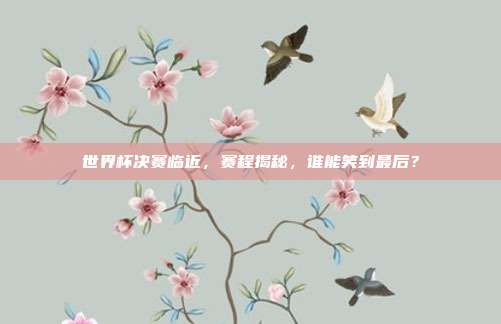 世界杯决赛临近，赛程揭秘，谁能笑到最后？