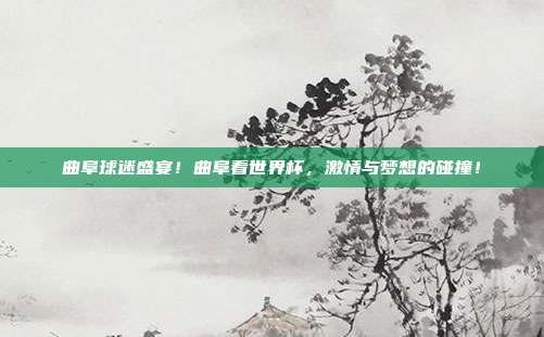 曲阜球迷盛宴！曲阜看世界杯，激情与梦想的碰撞！