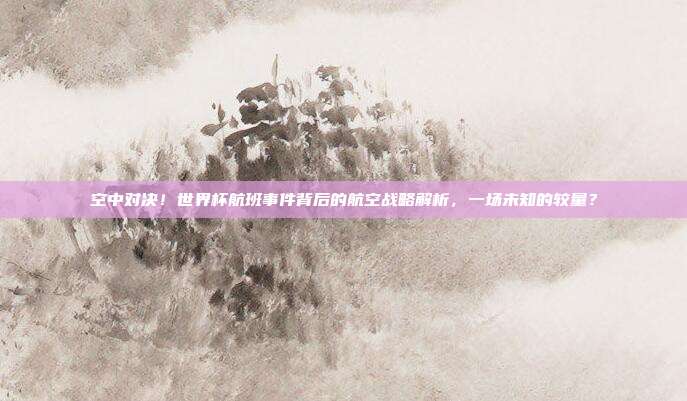 空中对决！世界杯航班事件背后的航空战略解析，一场未知的较量？