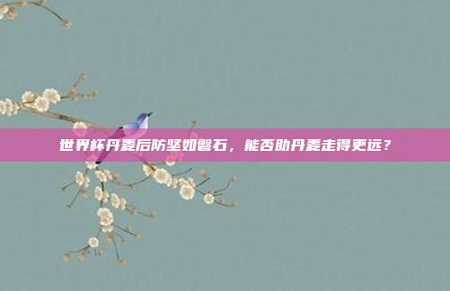 世界杯丹麦后防坚如磐石，能否助丹麦走得更远？