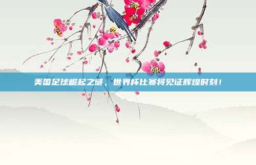美国足球崛起之谜，世界杯比赛将见证辉煌时刻！