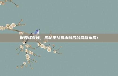 世界杯有连，揭秘足球赛事背后的网络布局！