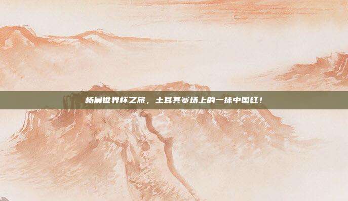 杨晨世界杯之旅，土耳其赛场上的一抹中国红！
