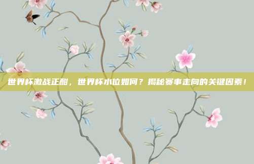 世界杯激战正酣，世界杯水位如何？揭秘赛事走向的关键因素！