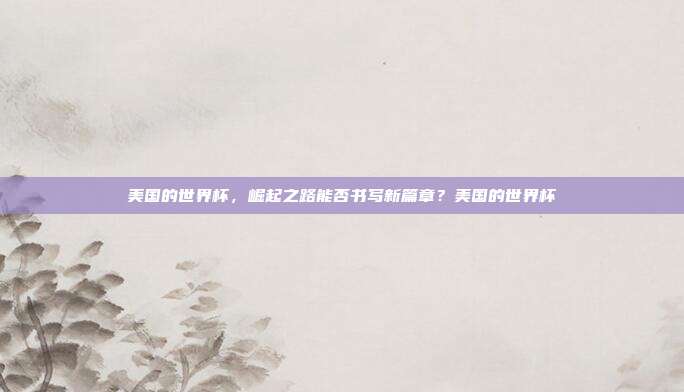 美国的世界杯，崛起之路能否书写新篇章？美国的世界杯