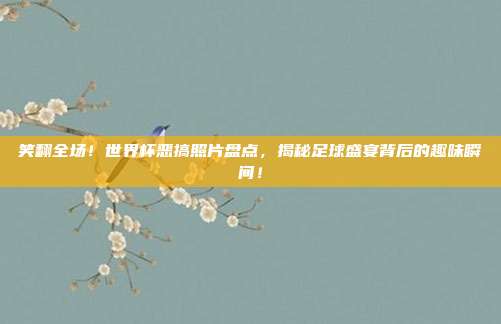 笑翻全场！世界杯恶搞照片盘点，揭秘足球盛宴背后的趣味瞬间！