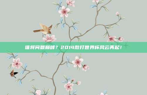 谁将问鼎巅峰？2014散打世界杯风云再起！