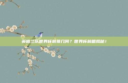 英格兰队世界杯前景几何？世界杯前瞻揭秘！