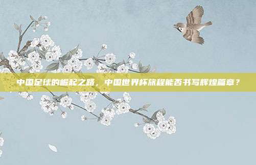 中国足球的崛起之路，中国世界杯旅程能否书写辉煌篇章？