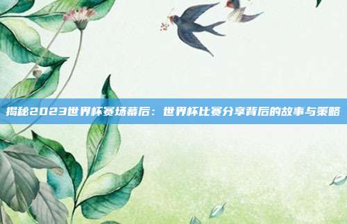 揭秘2023世界杯赛场幕后：世界杯比赛分享背后的故事与策略