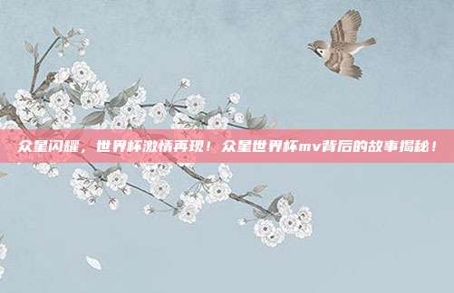 众星闪耀，世界杯激情再现！众星世界杯mv背后的故事揭秘！